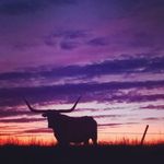 Chris Browder - @browder_chris - Instagram