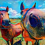 Chris Brower - @chris_s_brower - Instagram