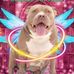 Chris Brownfield - Facebook