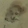 Chris Brubaker - @chris.brubaker7 - TikTok