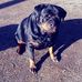 Chris Brucker - Facebook