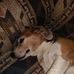 Chris Brucker - Facebook