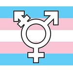Chris Bruner - @transandhandy - Instagram
