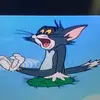 chrisbruner08 - @chrisbruner08 - TikTok