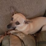 Chris Bryer - @chris.bryer.315 - Instagram