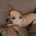 Chris Bryer - Facebook