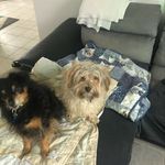 Christine Brzezinski - @christinetalouarn - Instagram