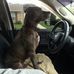 Chris Bua - Facebook