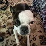 Chris Barefield - @chris_bubba_barefield - Instagram