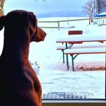 Chr°s  wie in HoCHRISikogebiet - @__bubble__chris__ - Instagram