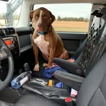 Chris Buckner - @chrisbuckner00 - Instagram