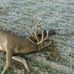 Chris Buckner - Facebook