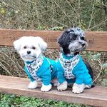 Chrissy Buffham - @miss_morgan_shichon - Instagram