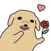 Chris_Bui - @chis_bui - TikTok