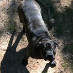 Chris Bundy - @ruthlesscj7 - Instagram