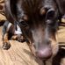 Chris Bundy - Facebook