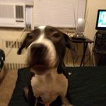 Chris Burchett - @sexykurt2019 - Instagram