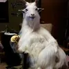 chrisburckel - @chunkboy101 - TikTok