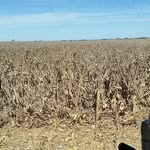 Christian County Farm Bureau - @christiancountyfarmbureau - Instagram