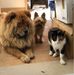 Christine Bureau - Facebook