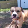 chrisburgess197 - @chrisburgess197 - TikTok