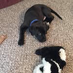 Chris Burgett - @c.burgett76 - Instagram