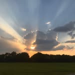 Chris Burgin - @silotreefarm - Instagram
