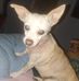 Chris Burkhead - Facebook