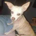 Chris Burkhead - @burkhead.chris - Instagram