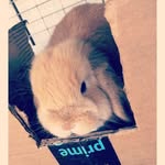 Chris burnsed - @chris204_ - Instagram