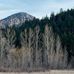 Chris Barrier - Facebook