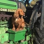 chris burston - @chris.burston - Instagram