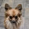 chrisbirts568 - @chrisbirts568 - TikTok