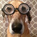 Christine Butkiewicz - @kalikkdog - Instagram