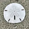 christinabuttreyt - @christinabuttreyt - TikTok