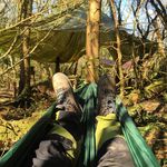 Christopher Elliott - @buzzard_chris - Instagram