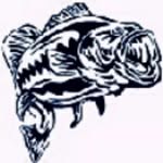 Chris Buzzelli - @popeofbassfishing - Instagram