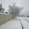 christian_bybee - @christian_bybee - TikTok