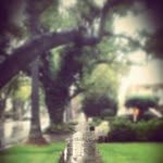 Christopher Bykowski - @christopherbykowski - Instagram