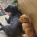 Chris Byler - Facebook