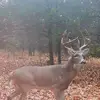 Chris Byrum - @chrisbyrum2 - TikTok