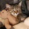 Chris - @chris.cab - TikTok