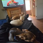 Chris Cady - Facebook
