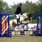 Chris - @chris_cady.eq - Instagram