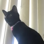 Chris W Trucking - @chriscaetrucking - Instagram