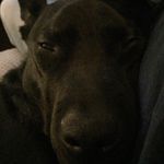Chris Caffrey - @rangers_bones - Instagram
