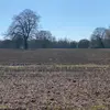 chriscaffrey928 - @chriscaffrey - TikTok