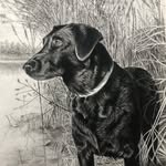 Chris Caillier - @chriscaillierarts - Instagram