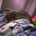 Chris Cales - Facebook