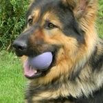 Chris Callens - @chriscallens - Instagram